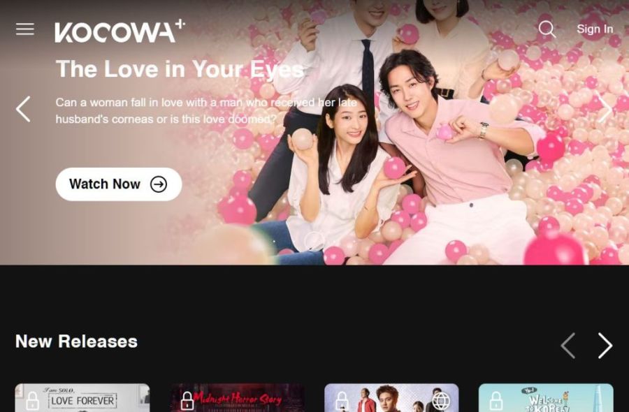 10 Awesome Sites To Watch Korean Movies and Dramas For Free