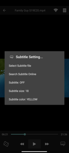 Subtitle settings