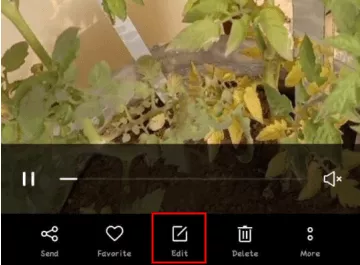 How to Crop a Video on TikTok: 3 Easy & Quick Ways